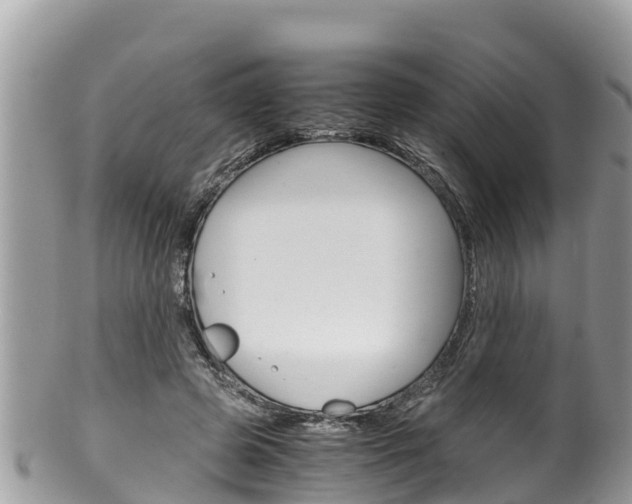 X0000100490545200806130758