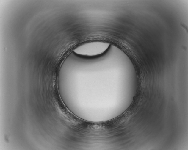 X0000100490546200806130758