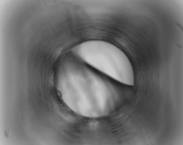 X0000100490547200806130758