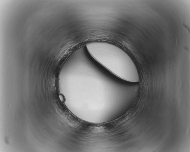 X0000100490548200806130758