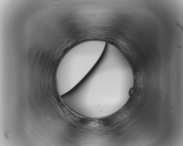 X0000100490550200806130758