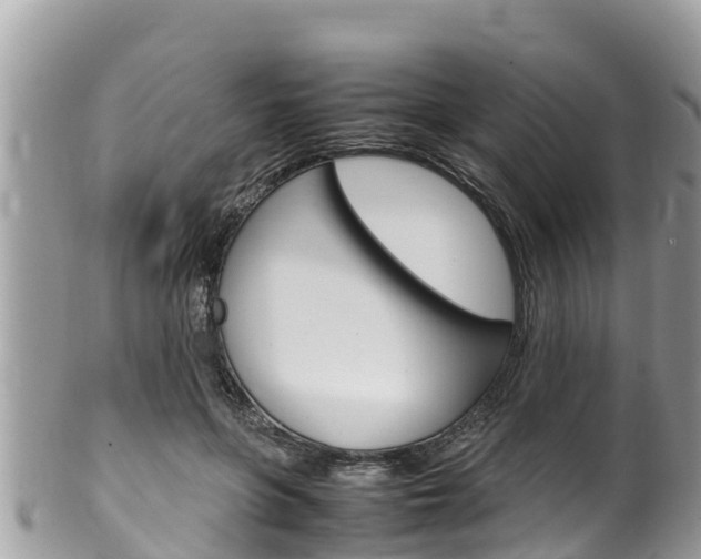 X0000100490551200806130758
