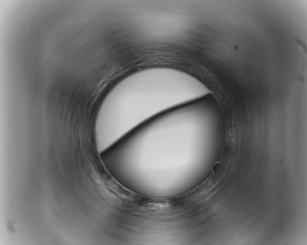 X0000100490552200806130758