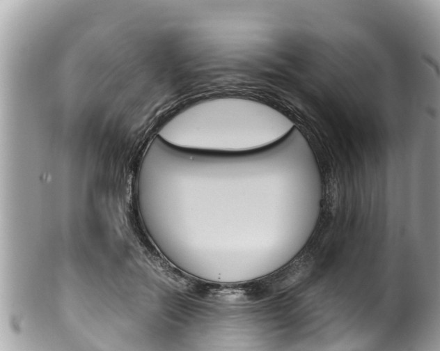 X0000100490554200806130758