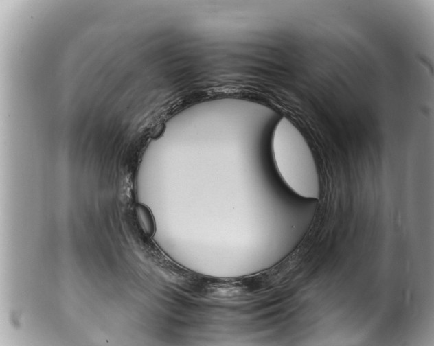 X0000100490555200806130758