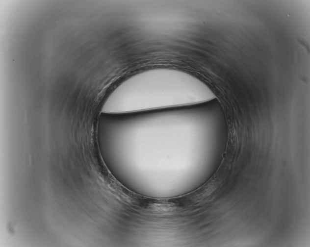 X0000100490556200806130758