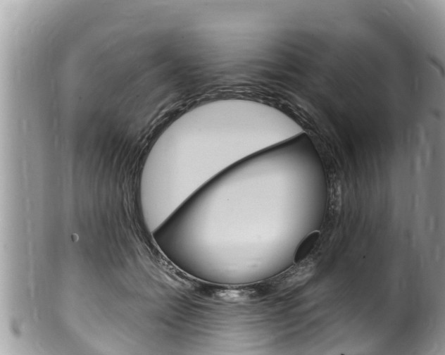 X0000100490558200806130758