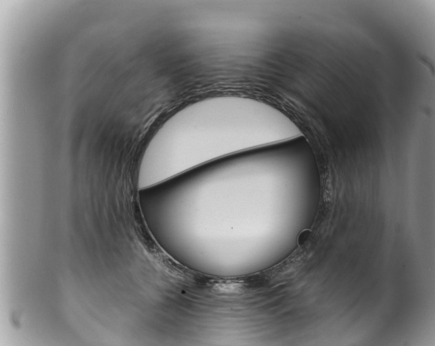 X0000100490560200806130758