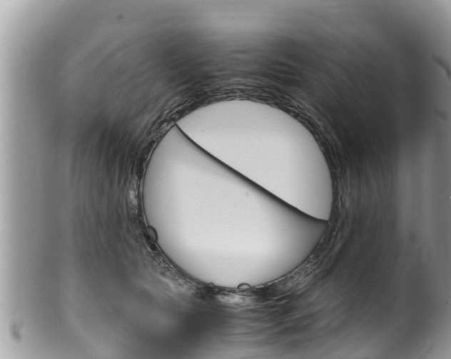 X0000100490561200806130758