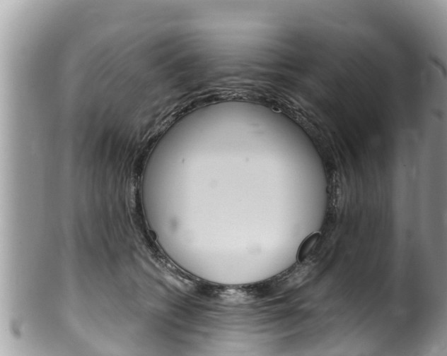 X0000100490562200806130758