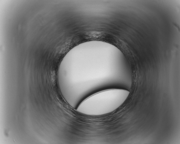 X0000100490563200806130758
