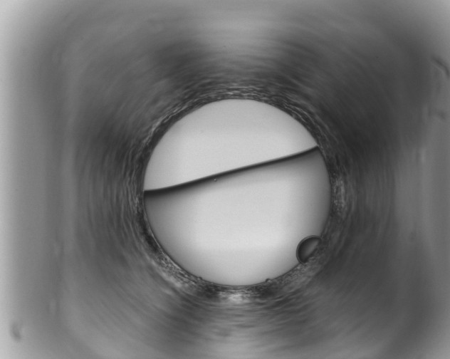 X0000100490564200806130758