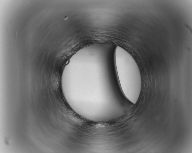 X0000100490566200806130758