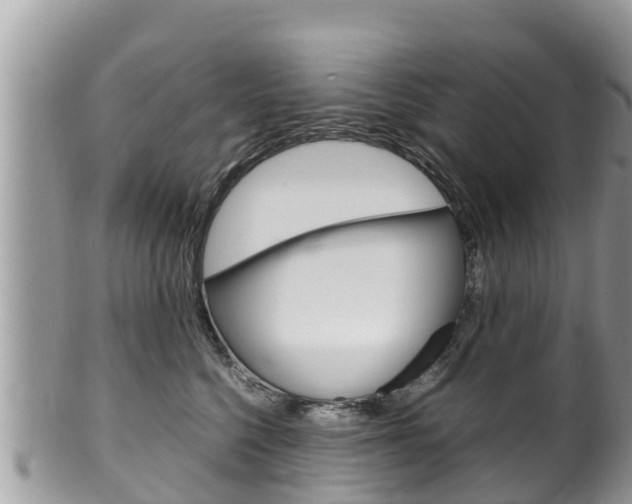 X0000100490568200806130758