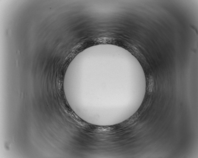X0000100490569200806130758