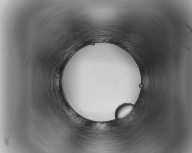 X0000100490570200806130758