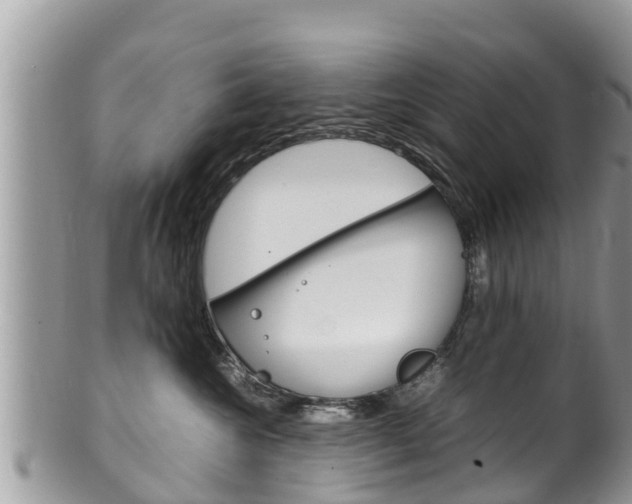 X0000100490572200806130758