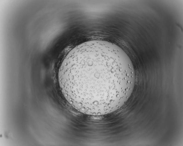 X0000100490573200806130758