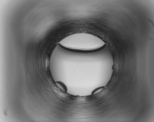 X0000100490574200806130758