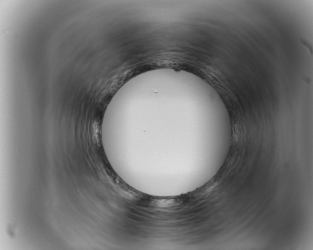X0000100490575200806130758