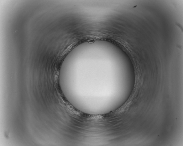 X0000100490576200806130758