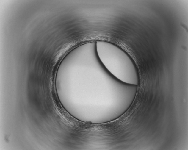 X0000100490578200806130757