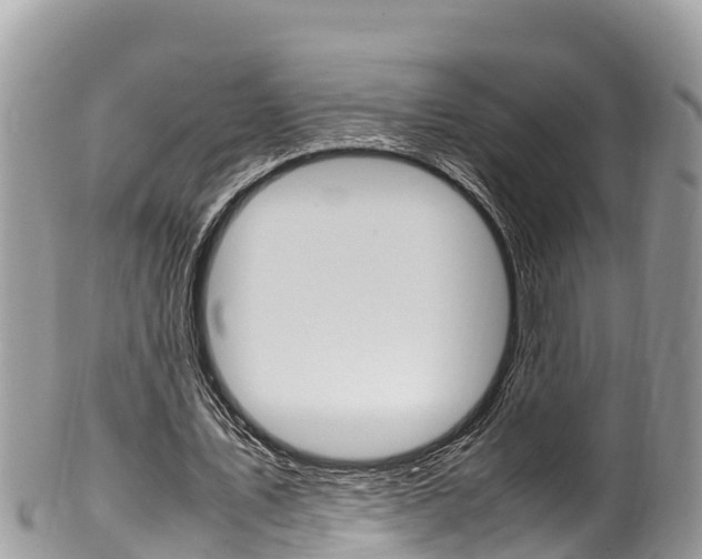 X0000100490579200806130757