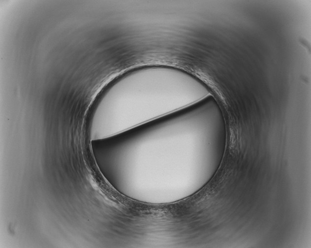 X0000100490580200806130757