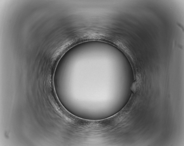 X0000100490581200806130757