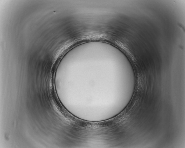 X0000100490582200806130757
