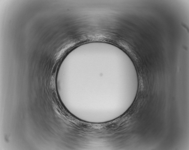 X0000100490583200806130757