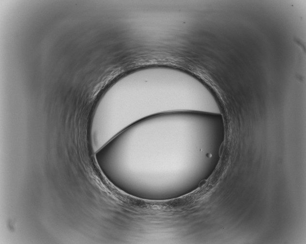 X0000100490585200806130757
