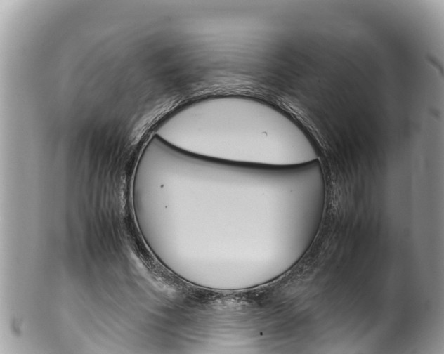 X0000100490586200806130757