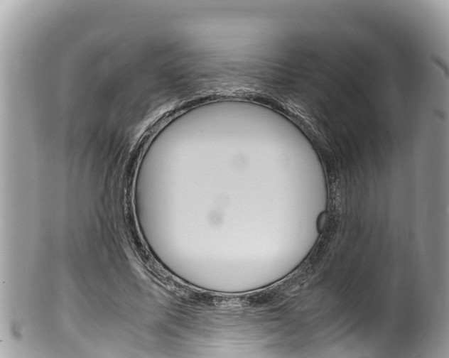 X0000100490587200806130757