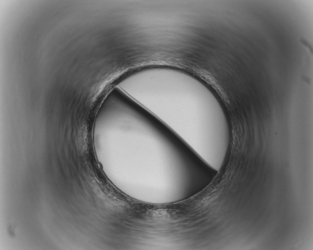 X0000100490588200806130757