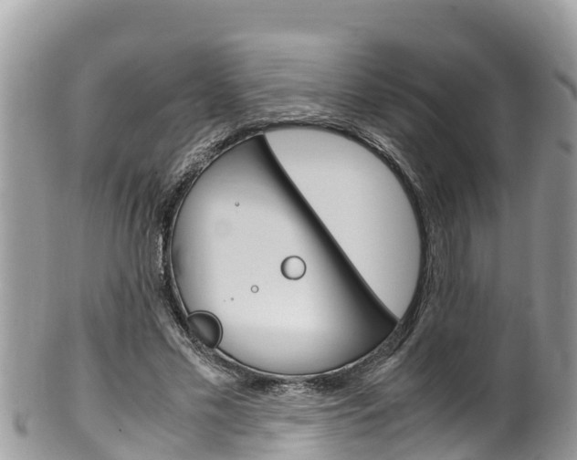 X0000100490589200806130757