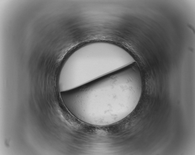 X0000100490592200806130757
