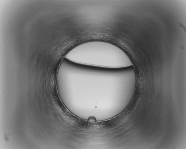 X0000100490593200806130757