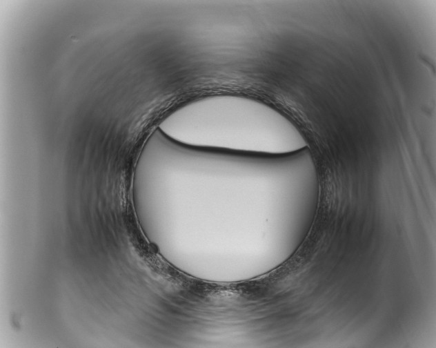 X0000100490594200806130757