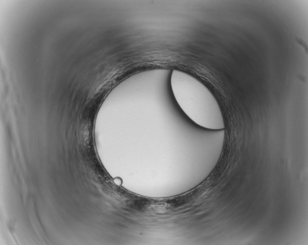X0000100490595200806130757