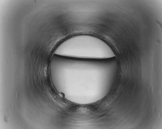 X0000100490596200806130757