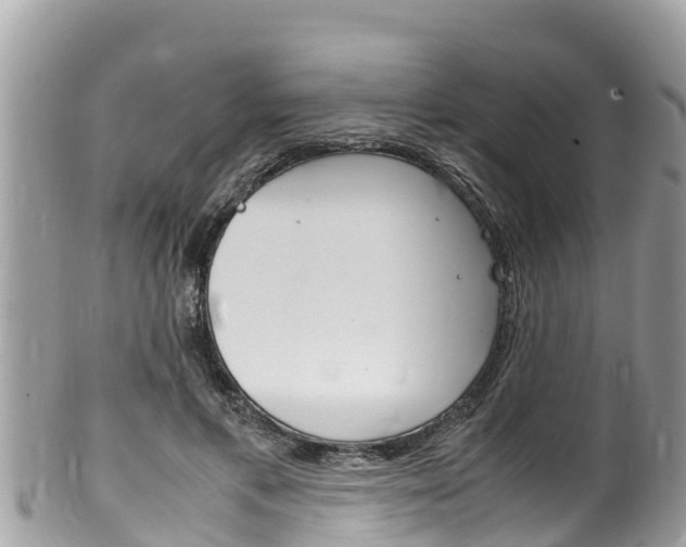 X0000100490597200806130757