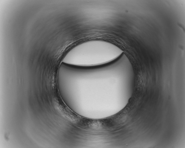 X0000100490600200806130757