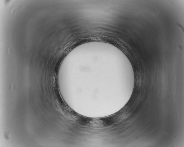 X0000100490603200806130757