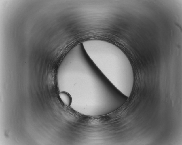 X0000100490604200806130757