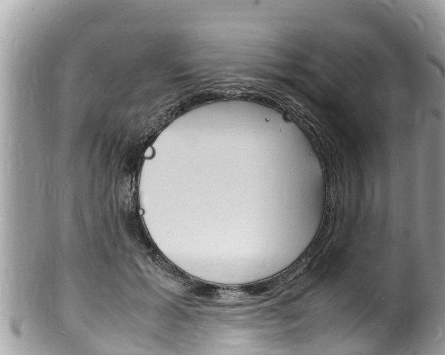 X0000100490605200806130757