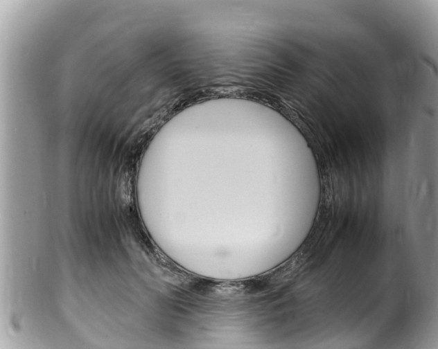 X0000100490606200806130757