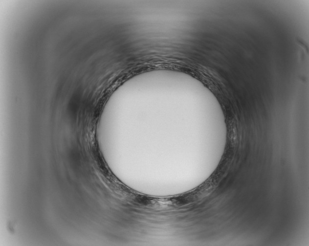 X0000100490607200806130757