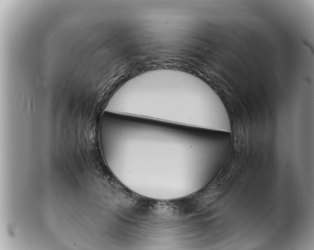 X0000100490608200806130757