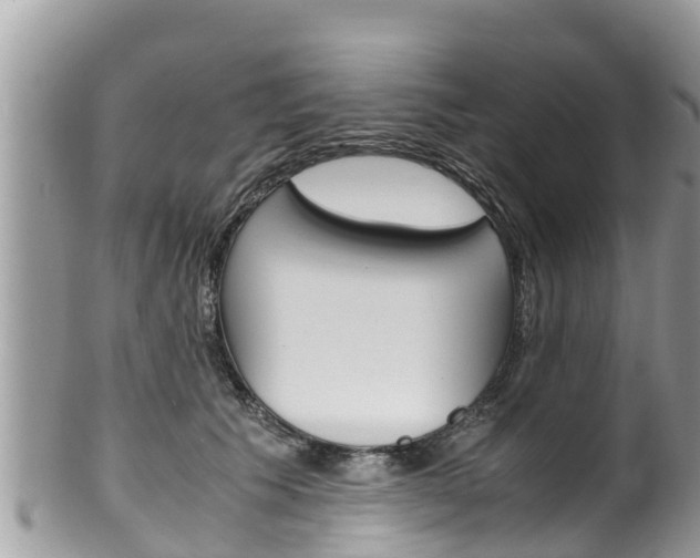 X0000100490609200806130757